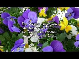 Liebe Grusse Zum Fruhlingsanfang Sei Mutig Und Lebe Youtube Schone Bilder Und Spruche Grusse Sei Mutig