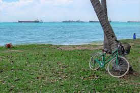 These include offering a diverse range of learning programmes, improving the curriculum and facilities, and providing continual. 2021 Cheat Sheet Cost Guide On Bicycle Rentals Ecp Wcp Sentosa Coney Island Punggol Changi Beach Park