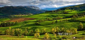 Book effortlessly online with tripadvisor. Parma Food Tours Food Valley Travel