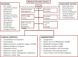 medical genetics special issue dedicated to the 35th