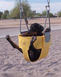 Aaron Leicht (aaron_leicht)