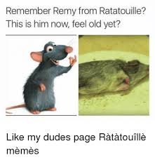 The tiktok musical is a crowdsourced musical adaptation of the 2006 pixar animation film similar to shrek retold, star wars uncut and other sweded films, ratatouille: 25 Best Memes About Ratatouille Meme Ratatouille Memes