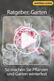 So Machst Du Dein Garten Winterfest Und Was Dabei Zu Beachten Ist Garten Informationen Pflanzen Winter Wissen Wissen Winterfest Winter Weihnachtsschmuck