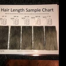 Clip Comb Sample Chart For Grooming Etsy Shaving Grooming Hair Chart
