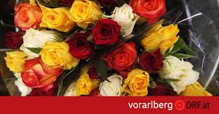 rosen waibel handelsgesellschaft m.b.h.