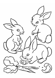 45 Disegni Di Conigli Da Colorare Pianetabambini It Cuccioli Della Fattoria Libri Da Colorare Animali Da Fattoria