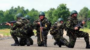 Lia olguța vasilescu, despre problemele cu salariile de la mapn: Ce Salarii Sunt In Armata RomanÄƒ Cat PrimeÈ™te Un Soldat La Inceput De Drum È™i Ce Salariu Are Un OfiÈ›er Impact