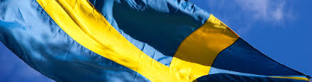 Men vi firar också 1809 års regeringsform denna dag, nog så viktig, men dess betydelse kan inte. 5dczbyj43 Yqom