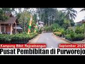 Keliling Jalan Desa Rejowinangun Kecamatan Kemiri Kabupaten ...