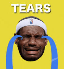 Lebron James Crying Face GIFs