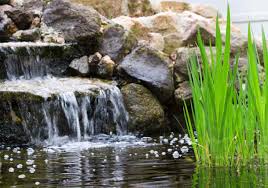 When backyard ponds don't receive proper maintenance, they quickly become murky and uninviting. Outdoor Water Feature Design And Maintenance Tips Best Pick Reports