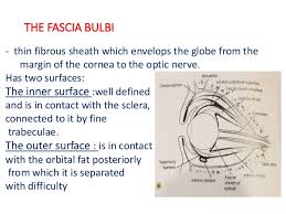 The phenomenon is an anatomical variation and not a disease entity; Fasciae Names Anatomy Notes For Medical Students Medicalsupernotes