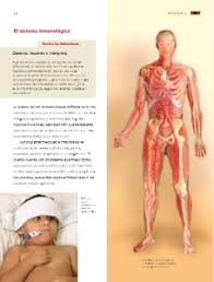 Respuesta de a pagina de ciencias naturales 127 6 grado sep 1 ver respuesta danielucky08 está esperando tu ayuda. Tema 1 Coordinacion Y Defensa Del Cuerpo Humano Ayuda Para Tu Tarea De Ciencias Naturales Sep Primaria Sexto Respuestas Y Explicaciones
