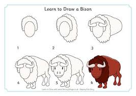 Learn To Draw A Bison Easy Animal Drawings Learn To Draw Animal Drawings