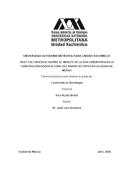 UNIVERSIDAD AUTÓNOMA METROPOLITANA, UNIDAD XOCHIMILCO Tesina profesional  para obtener el grado de: Licenciado en Sociología
