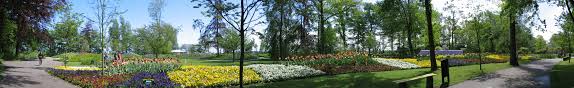 It's the best day out among the flowers near amsterdam! Keukenhof