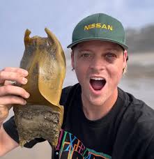 These are Some of the Things That YOU can find