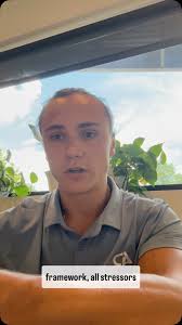 Stress insights, 2/4