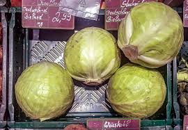 Cabbage is a filling, versatile vegetable. Tag Des Weisskohls In Den Usa National Cabbage Day 17 Februar