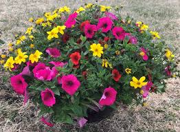 Obituary: Jane F. Brunson Livingston