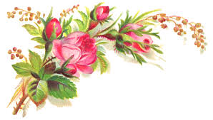 Antique Images Free Flower Clip Art Pink Rose Bouquet Graphic Corner Design Flower Clipart Flower Art Flower Graphic