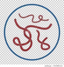 The virus is transmitted to people from wild animals and spreads in the. Ebola Virus Vector Illustration Clip Art Stock Illustration 56588113 Pixta