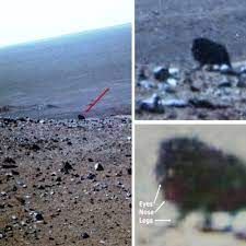 Mysterious walking object spotted on Mars by NASA rover