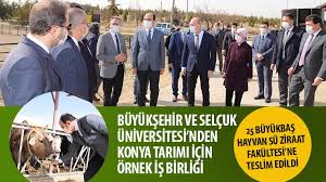 Selçuk üniversitesi hakkında, üniversite hakkında bilgi, üniversite bölümleri, üniversite fakülteleri, burs imkanları, iletişim bilgileri, üniversite kampüsü, gibi içerikleri burada bulabilirsiniz. Konya Buyuksehir Belediyesi