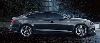 Image result for Suzuka Gray 2018 A5