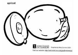 This golden fruit has been around for more than 4,000 years. Coloring Page Apricot Free Printable Coloring Pages Img 5779