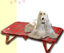 Prima di stabilire, tuttavia, se è i cani di taglia massiccia e quelli piccoli tendono a. Brandine Per Cani Di Taglia Grande Con Doghe Brandine Per Cani Di Taglia Grande Con Doghe Brandina Per Animali Taglia Grande Per Interno Ed Un Expectablelove