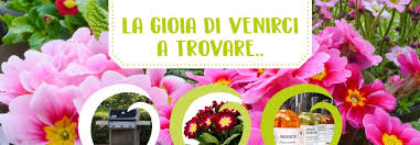 Il vivaio mondo piante si trova a terlizzi (bari), anche nota come città dei fiori, i clienti delle zone limitrofe possono venirci a. Mondo Piante Contatti