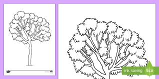 All images seen below are of my students artwork only. Ghaf Tree Colouring Page Teacher Made