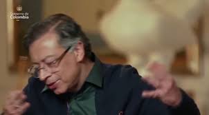 Maicol Cajamarca's Video