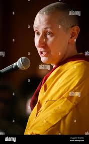 France buddhist temple hi-res stock photography and images