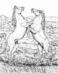 This coloring page show a native american on his horse. Wild Beautiful Horse Coloring Pages Novocom Top