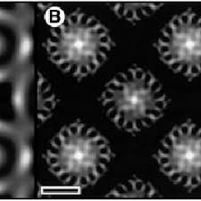 Rubrum with absorption changes at 280 msa, im Em In Negative Stain Scale Bar 50 A E A Fourier Ltered Image Download Scientific Diagram