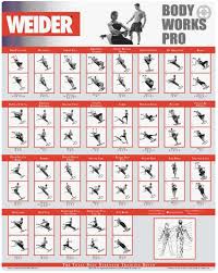 Weider Workout Chart Pdf Sport1stfuture Org