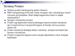 Enzim terdiri dari protein dan yang terakhir juga merupakan unit. Biologi Molekular Ppt Download