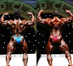 Musclemecca Bodybuilding Forums But roelly would have nothing of it. musclemecca bodybuilding forums