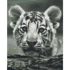 Pixelhobby Patroon 809438 Baby Tijger 9 Basisplaten Goede Service Zomerspeelgoed