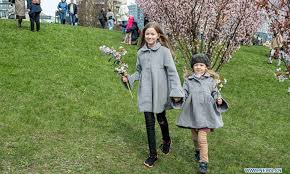 Lithuanians in the early 20th century were among the thinnest people in the developed countries of the world. People Enjoy Cherry Blossoms At Park In Vilnius Lithuania Global Times