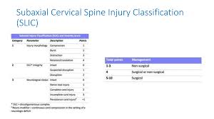 Image result for Subaxial Injury Classification Scale