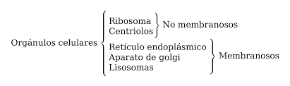 Miércoles, 18 de agosto de 2010. Bellidoj Latex Para Profes Esquemas Con Llaves