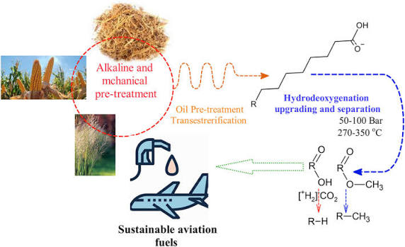 Pathway for Sustainable Aviation Fuel (SAF) Production from... | Download  Scientific Diagram
