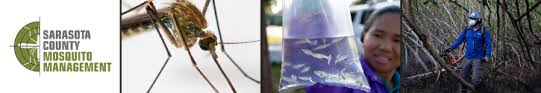 How To Raise Mosquito Larvae For Fish Food: A Simple Gude