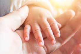 杜绝生第三胎 eliminate third births 杜绝浪费 put an end to waste; B02tfditulxjqm