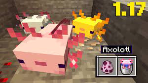 An axolotl will not dry up as long as they are in water or rain Axolotl Sind Da Letzter 1 17 Snapshot 2020 Minecraft Caves And Cliffs Update Youtube