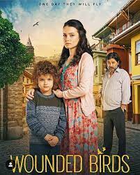 https xn 2mc8abw4cf com d8 a7 d9 84 d8 b7 d9 8a d9 88 d8 b1 d8 a7 d9 84 d9 85 d8 ac d8 b1 d9 88 d8 ad d8 a9 yarali kuslar