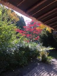 We did not find results for: Englischer Garten Jardin Anglais Schone Stadtfuhrung In Munchen